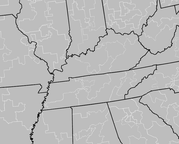 Gerrymandering Is Democratic
