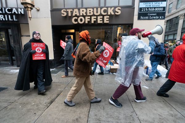 The Limits of the the Labor Revival