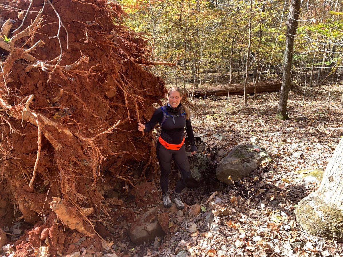 Hiking: New Hope Creek North