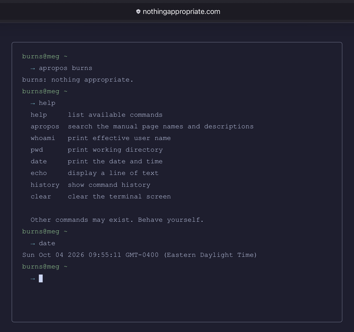 Nothing Appropriate Updates for Input