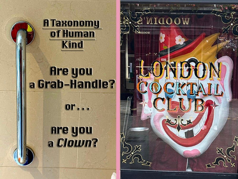 4. A Taxonomy of Human Kind