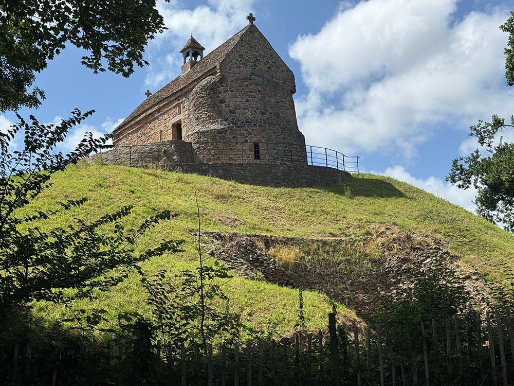 Twenty one Lesions to Live!