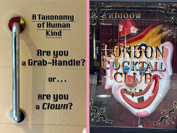 4. A Taxonomy of Human Kind