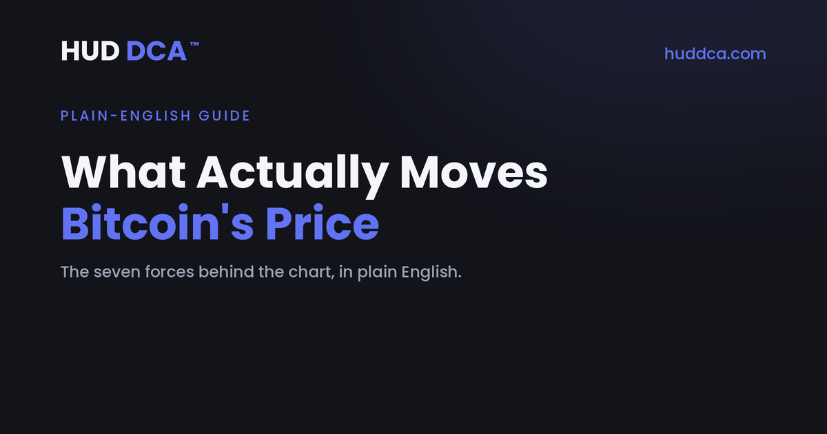 What Actually Moves Bitcoin's Price: A Plain-English Guide to the Forces Behind the Chart