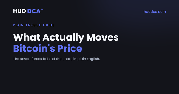 What Actually Moves Bitcoin's Price: A Plain-English Guide to the Forces Behind the Chart