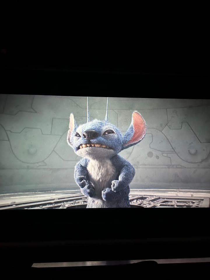 Lilo & Stitch: film you should watch while hugging your pet