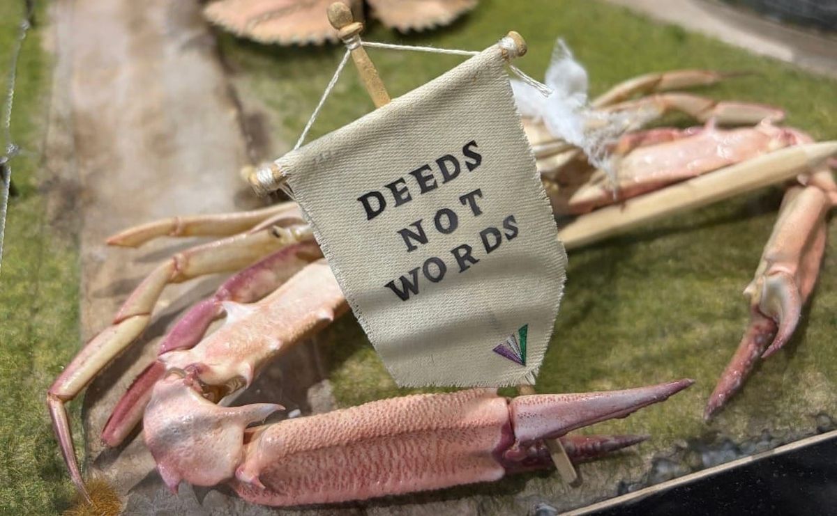 The Crab Museum: Margate’s Most Brilliantly Sideways Institution