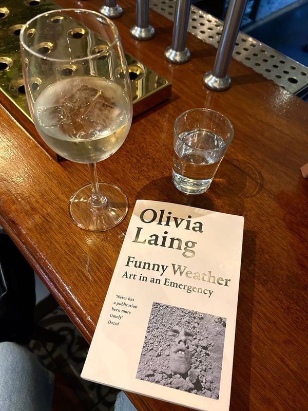 Olivia Laing wrote the book I wish I had written