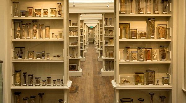 Edinburgh and the Science of Mortality