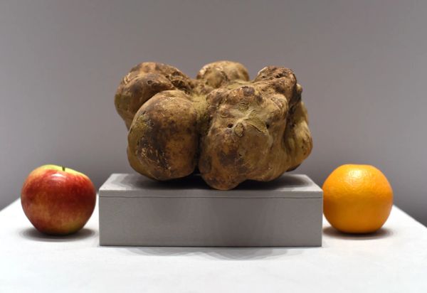 Going once, going twice: tales from the auctions