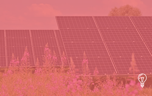 De Natuur en Milieufederaties