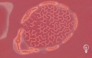 Dutch Docklands & Government of the Maldives