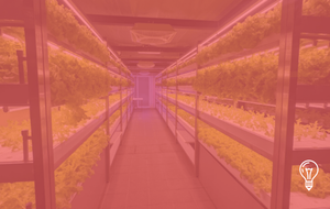 Taipei Mass Rapid Transit