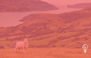 Travel Trade New Zealand