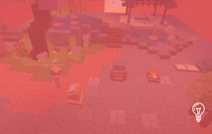 Experience Camps & others