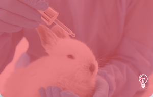 BASF, Beiersdorf, Unilever, L’Oréal & others