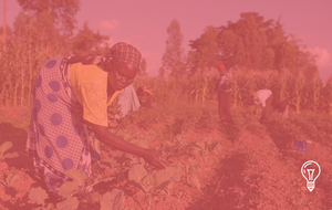 Heifer International & Mastercard