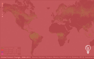 Google Earth Engine & World Resources Institute