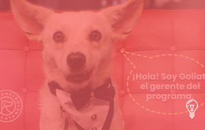 Fundación Rescátame