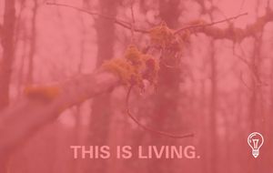 Normal Phenomena of Life