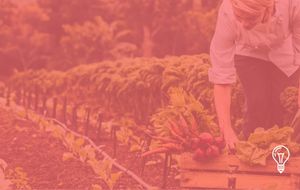 James Beard Foundation