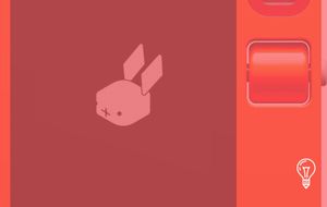 Rabbit
