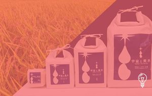 Japan Aerospace Exploration Agency