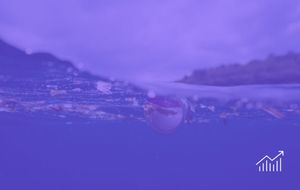 Global Producer Responsibility for Plastic Pollution