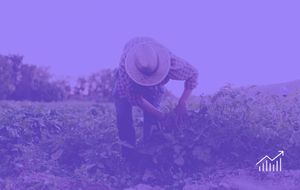 Green Skills Crisis is Looming