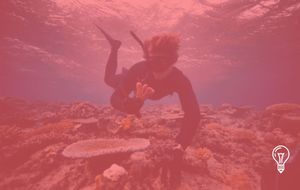 Tourism Fiji & Coral Gardeners