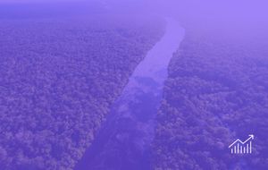 Amazon Rainforest Areas Protected By Indigenous Experience Fewer Fires