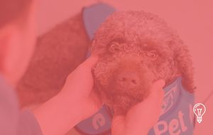 iGA Istanbul Airport