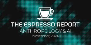 Anthropological Perspectives on AI Transformations