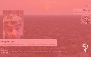 France Télévisions