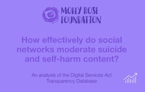 Suicide and Self-Harm Content Largely Overlooked in Moderation