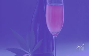 Cannabis Viewed More Positively Than Alcohol and Nicotine in the US