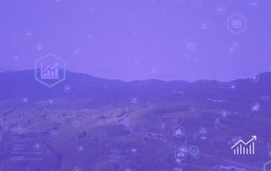 Executives Embrace Tech for Environmental Impact