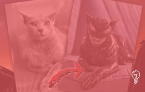 Getty Images, Sony Picture Entertainment & Trigger XR