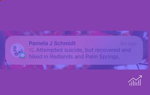 Misdirected AI Summary Sparks Viral Hilarity