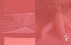 Japan's and farm Co.