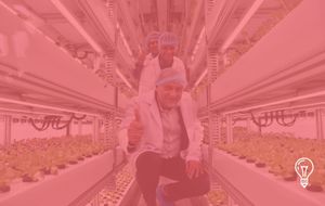 BoomGrow & CelcomDigi