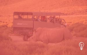 Uber Safari