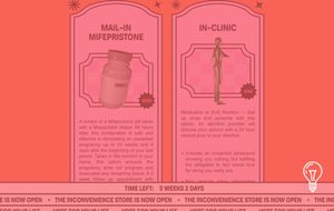 The Inconvenience Store