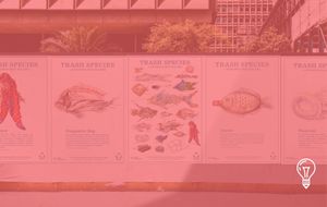 Sustainable Coastlines