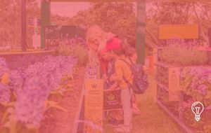 Woolworths New Zealand