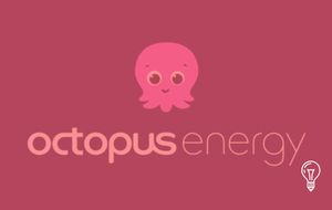 Octopus Energy