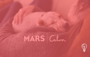 Calm & Mars