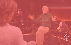 Netflix Famous Last Words