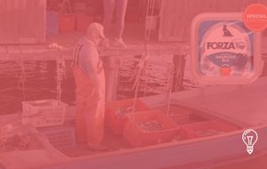 FORZA10