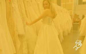 David's Bridal